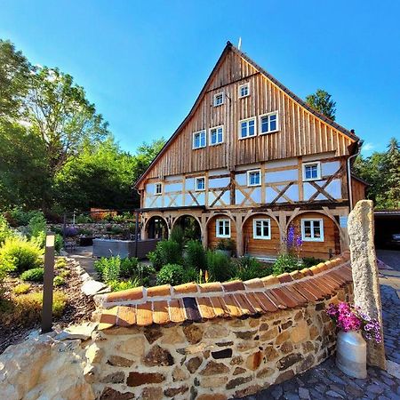 Pferdehof Am Burgsberg, Ferienzimmer, Monteurzimmer Seifhennersdorf Exteriér fotografie